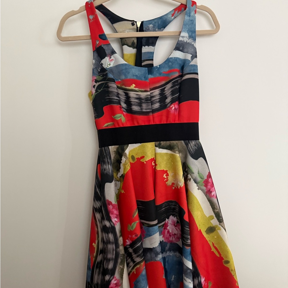 Milly Artistic Red and Blue Dress